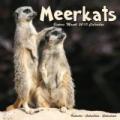 Meerkat Gifts & Merchandise image 8
