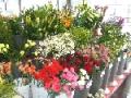 Sheffield online Florist image 2