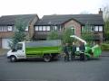 Cheshire Tree Felling image 2