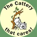 Comfy Cats Cattery logo