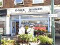 Dogs Dinner image 1