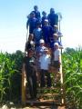 Broadfields Maize Maze image 2