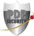 PDP Security logo