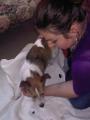 Naomi Grove Equine & Animal Reiki Master Practitioner image 4