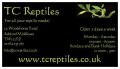 TC Reptiles logo