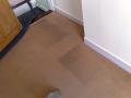 Carpet Cleaners Ipswich- Kesgrave Carpet Care image 6