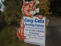 Cosy Cats Ltd logo