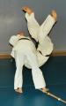 Chang's Hapkido Academy image 10