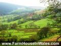Farmhouse Wales, Self Catering, Walking, Mountain Bike, MTB, Biking image 5