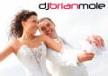 DJ Brian Mole - Dancemix Professional DJ Service image 3