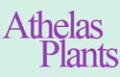 Athelas Exotic Plants logo