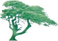 NewForest Landscapes logo