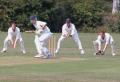 Harlow Town Cricket Club image 2