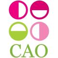 CAO Bookkeeping Services logo