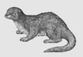 Otter Computing image 1