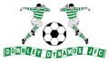 Downley Dynamos Junior Football Club image 1