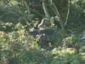 Covert Combat Outdoor Lazertag image 5