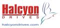 Halcyon Drives logo