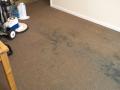 Carpet Cleaning West London image 3
