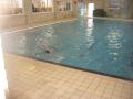 Cygnet Swim School image 1