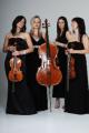 Palatine String Quartet image 3