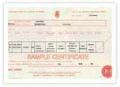 Birth Certificate Replacement image 4