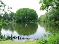 Kirk Hallam Lake & Meadows image 1