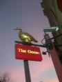 The Goose at Leigh image 7