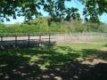 The Orchards Schooling Livery Yard Worcestershire image 4