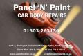 PANEL N PAINT logo