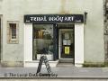 Tribal Body Art Ltd logo