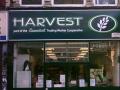 Harvest Bristol image 3