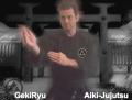 The Geki Ryu Hombu Dojo, Aiki Jujutsu image 2