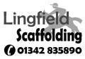Lingfield Scaffolding logo