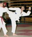 Brentwood Ishinryu Karate image 3