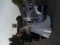 catherines wedding limousines image 2