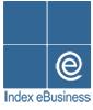 Index eBusiness logo