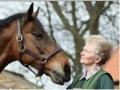 Susan J Arthur, Equine Veterinary Surgeon. logo