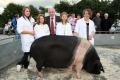 Fermanagh County Show image 3