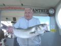 BOAT FISHING WALES image 2