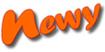 Newy logo