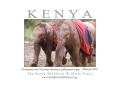 The David Sheldrick Wildlife Trust image 1