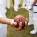 Sandridge Cricket Club | St Albans image 2