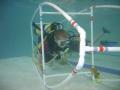Dive Machine image 6
