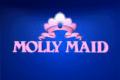 Molly Maid Domestic Cleaning Harrogate logo