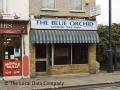 The New Blue Orchid Takeaway logo