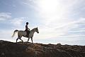 Arabian Horseriding Timeshare image 4
