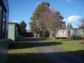 The Pines Caravan Park image 2