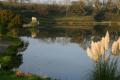 LLyn Carfan Coarse Fishing Lakes image 5