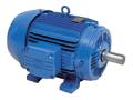 Industrial Pumps & Motors Ltd image 5